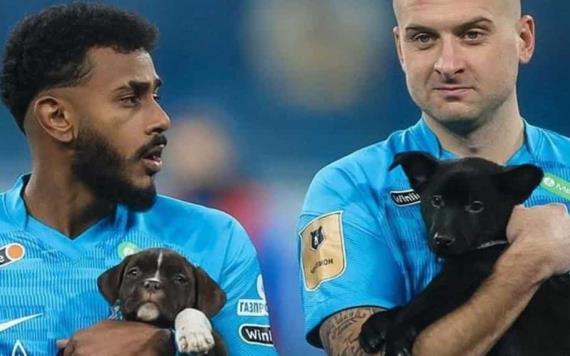 Jugadores salen al campo con perritos que buscan hogar