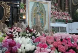 Comerciantes en Guadalajara donan 12 mil rosas para la Virgen de Guadalupe