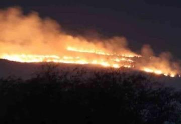 Incendio arrasa con 6.41 hectáreas en Sierra de San Miguelito, San Luis Potosí