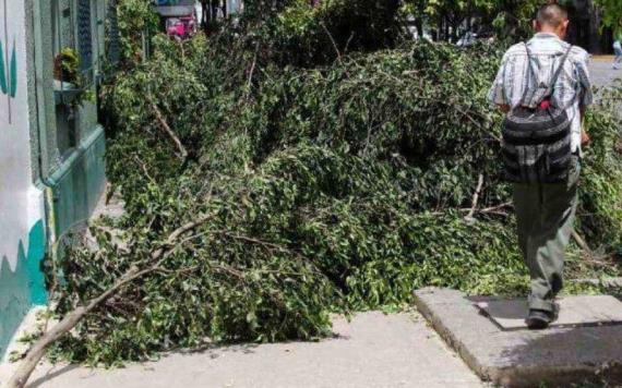 Activan alerta en CDMX por fuertes vientos para esta tarde y noche