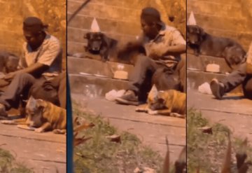 Hombre en situación de calle celebra con pastel cumpleaños de sus perros