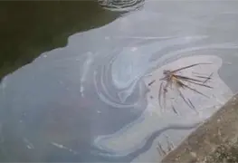 Derrame de crudo en El Bellote, Para&iacute;so, afecta a pescadores