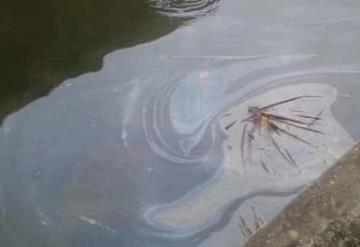 Derrame de crudo en El Bellote, Paraíso, afecta a pescadores