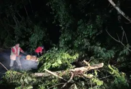 Liberan carril en carretera Tapijulapa-Oxolotán