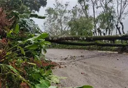 Lluvias provocan deslizamiento de tierra en la carretera Tapijulapa-Oxolot&aacute;n
