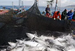 Proh&iacute;be EE. UU. entrada a pesqueros mexicanos por pesca ilegal en el Golfo de M&eacute;xico