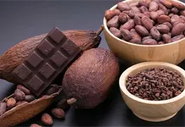 M&eacute;xico ocupa el 13 lugar en producci&oacute;n mundial de cacao
