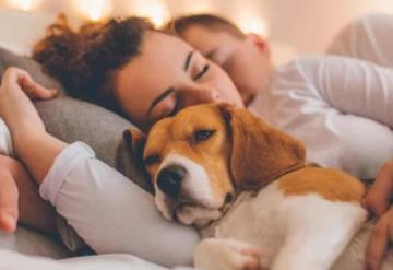 Enfermedades que podrías contraer por dormir con tu mascota