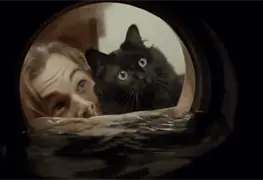 La gata OwlKitty parodia escenas de la pel&iacute;cula Tit&aacute;nic y se vuelve viral