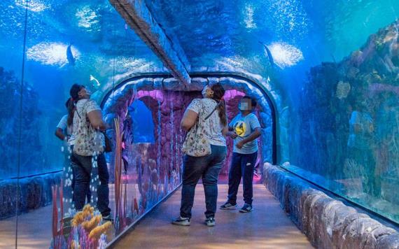 Investiga Fiscalía de CDMX muerte de bióloga del Acuario Inbursa