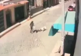 Perros pitbull atacan a niña de dos años en el Edomex