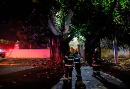 Indigente muere electrocutado, dormía en la copa de un árbol