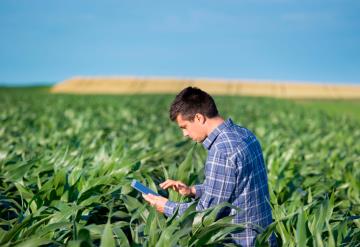 22 de Febrero: Día del Ingeniero Agrónomo; conoce sus responsabilidades