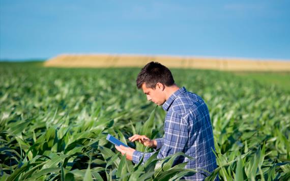 22 de Febrero: Día del Ingeniero Agrónomo; conoce sus responsabilidades