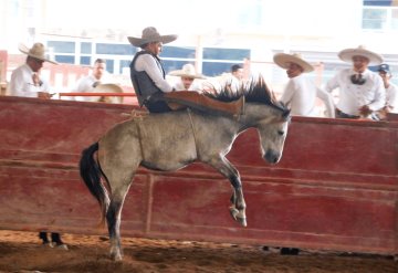 Los charros de Tabasco volverán a la acción a partir de este jueves 24 de febrero