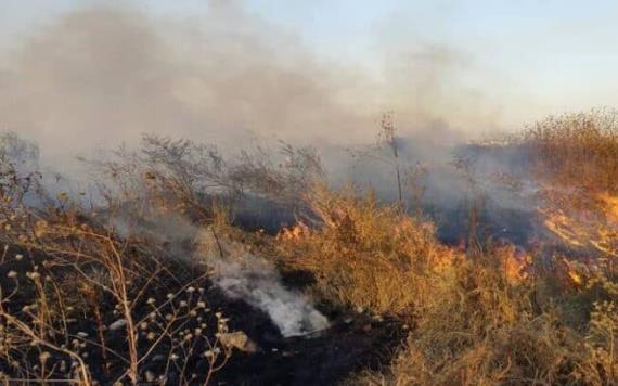 Controlan fuerte incendio en pastizales del bordo de Xochiaca, Edomex