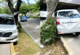 Auto colisiona contra un árbol sobre Paseo Tabasco