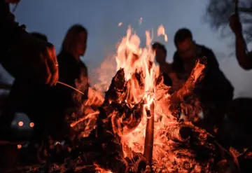 Lunada en el bosque para conectar con la naturaleza y calmar tu mente, evento en CDMX