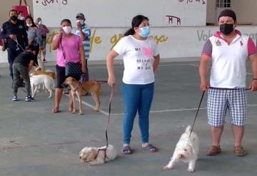 En Jonuta inicia campaña de esterilización de gatos y perros para evitar su reproducción