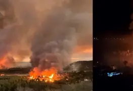 Ocurre incendio en zona de palmar en Baja California Sur