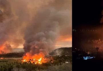 Ocurre incendio en zona de palmar en Baja California Sur