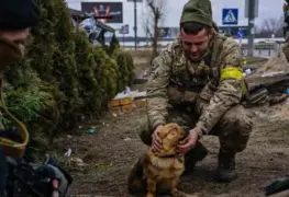 Ministerio de Agricultura de Ucrania prohíbe exportaciones de fertilizantes