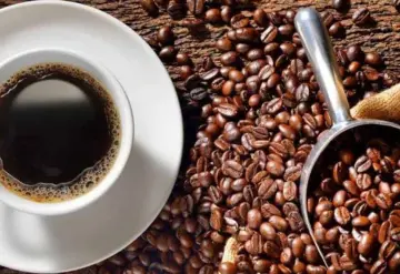 Estudio de Harvard muestra los beneficios de tomar café para nuestro cerebro