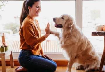 ¿Eres de perros o de gatos? Descubre cuál es la mascota que mejor encaja contigo