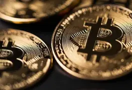 Detectan granja clandestina de criptomonedas en Conalep de San Luis Potosí