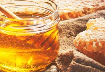 ¿Conoces las bondades de las abejas para la piel y cómo implementarlos?