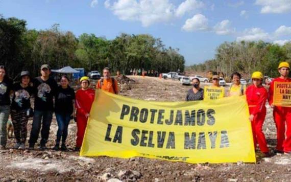 PAN pide comparecencia de Semarnat, Fonatur y Profepa ante Senado por obra del Tren Maya