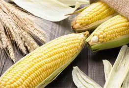 Se disparan precios de ma&iacute;z y trigo durante el primer trimestre