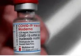 Hallan mosquito dentro de una vacuna de Moderna