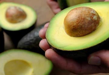 OMC respalda a México en pleito con Costa Rica por importación de aguacate