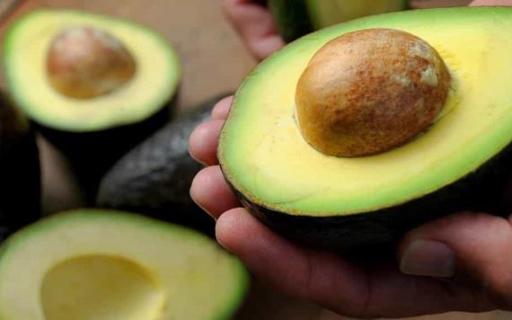 OMC respalda a México en pleito con Costa Rica por importación de aguacate