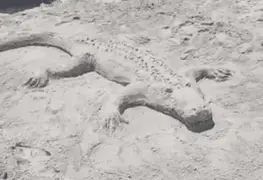 Niño destruye obra de arena mientras el artista la presumía en una transmisión