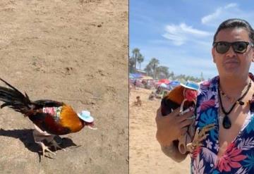 Hombre sale a vacacionar llevándose consigo a su gallo a la playa, video se viraliza