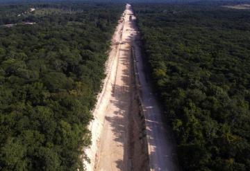 Esperamos que AMLO nos escuche, la naturaleza no es negociable: activistas