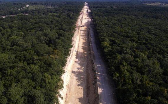 Esperamos que AMLO nos escuche, la naturaleza no es negociable: activistas