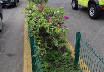 Jardineras de paseo Tabasco en deterioro tras ser vandalizadas por amantes de lo ajeno