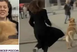Perrito roba micr&oacute;fono a reportera en plena transmisi&oacute;n en vivo
