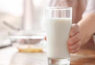 Estudio de Harvard revela si los adultos deben consumir leche