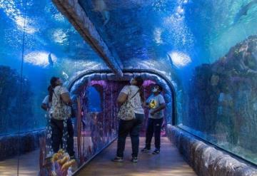 Acuario de Veracruz reabre sus puertas y cambia de nombre a ´Aquarium´ luego de haber sido clausurado