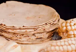 ¿Es malo comer tortilla? Todo lo que debes saber sobre este alimento