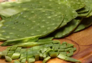 Estos son los beneficios médicos de comer nopales, de acuerdo con la UNAM