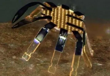 Crean el robot andante más pequeño del mundo