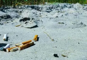 El tabaco destruye 600 millones de árboles y 200,000 hectáreas de tierra: informe