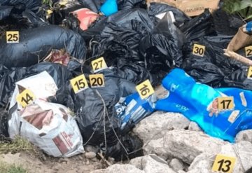 Hallan más de cien cadáveres de perros en bolsas de plástico