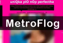 ¿Tenias MetroFlog? Aquí te decimos que ocurrió con él y otras redes sociales que usabas antes