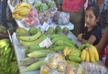 Realizan primer Feria de la Semilla, Venta y Trueque en Teapa